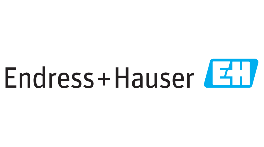 Endress + Hauser