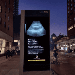 screen with empty womb in NYC