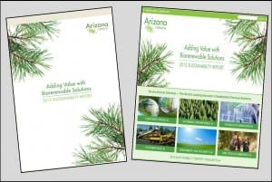Arizona Chemical’s online version of its sustainability report (left) takes a deep dive into the company’s efforts, while the print version (right) offers the most compelling highlights. 
