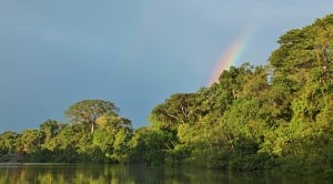 Rainforest Trust announced its largest project yet, conservation of the Sierra del Divisor reserve in the Peruvian Amazon rainforest, to coincide with the announcement of its new name.