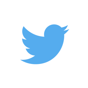 A bigger bird