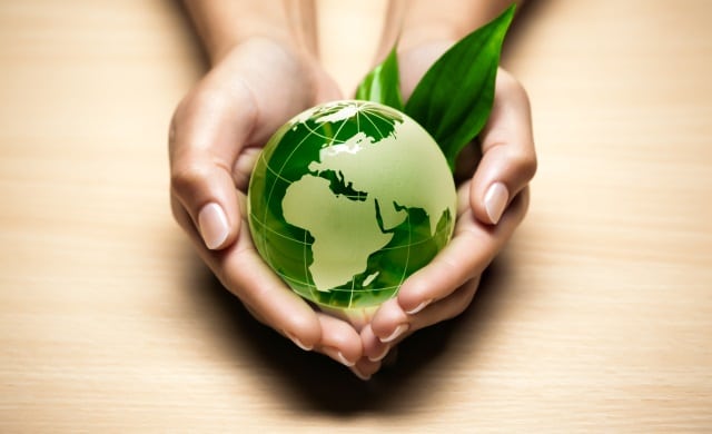 Green efforts should be a natural extension of your brand identity.