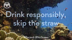 No Straws Pledge