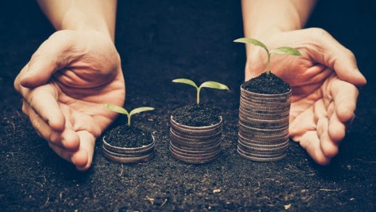 plants, nurtured by hands