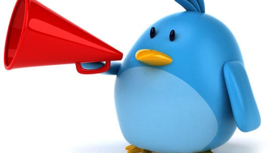 twitter bird with megaphone