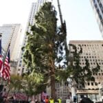 Rockefeller Center Christmas Tree