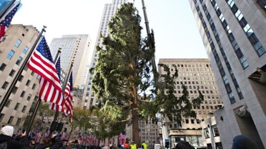 Rockefeller Center Christmas Tree