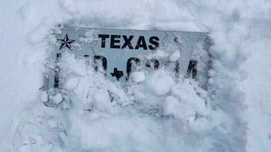 Texas license plate snowed over