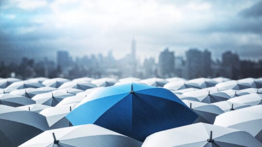 blue umbrella amid sea of white umbrellas