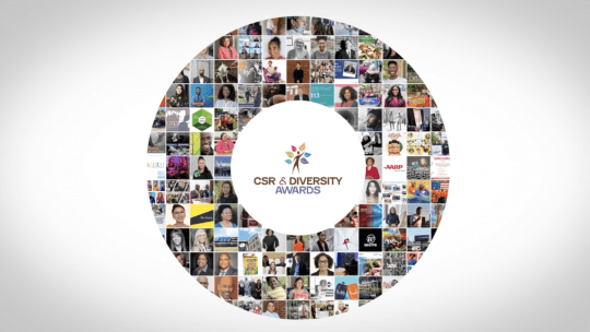 CSR and Diversity Award logo