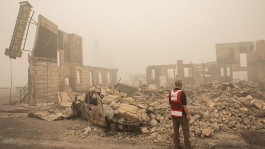 Red Cross volunteer surveying wildfire damage.