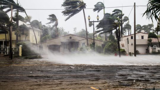 hurricane hitting building, flooding and trees blown aside