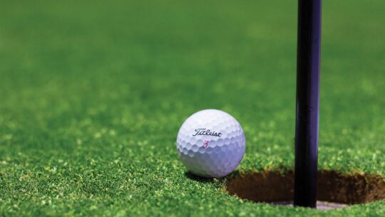 golf ball by a hole