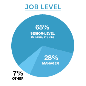 Audience by Job Level