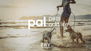 APPA Encourages Consumers to “Recharge” with New Campaign for Pets Add Life