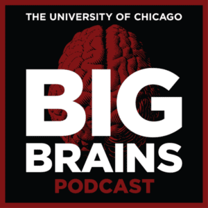Big Brains Podcast