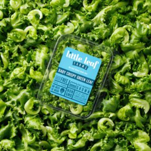Little Leaf Farms Leans into the Curve