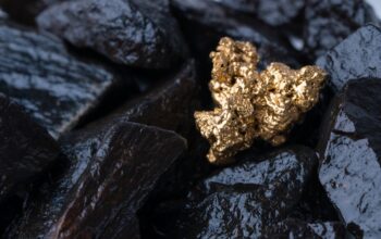 Gold Nugget mining from a pile of black rocks