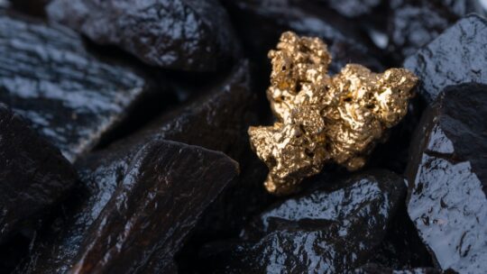 Gold Nugget mining from a pile of black rocks