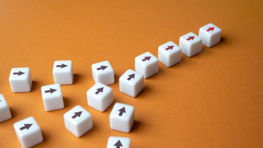 Formation in an organized group. Consolidation of a group. External going in-house
