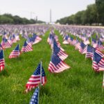 American flags on grass. United States flag in park.