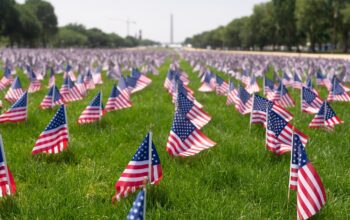 American flags on grass. United States flag in park.