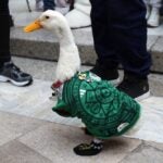 The family of Duck Merlin received a ticket to the round of 16 of the 2026 World Cup outside the Palace of Fine Arts in Mexico City.