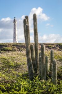 Aruba Redefines Tourism, Responsibly​