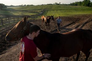 Harnessing Hope: How Stable Recovery Became a National Voice for Addiction Recovery