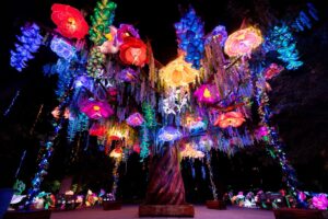 Illuminate 2025: Creator-Led Storytelling Drives Record Awareness and Engagement