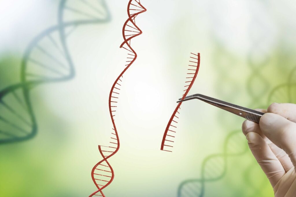 LifeSci Communications and Intellia Therapeutics