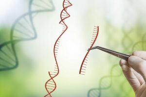 Media Relations Campaign: LifeSci Communications and Intellia