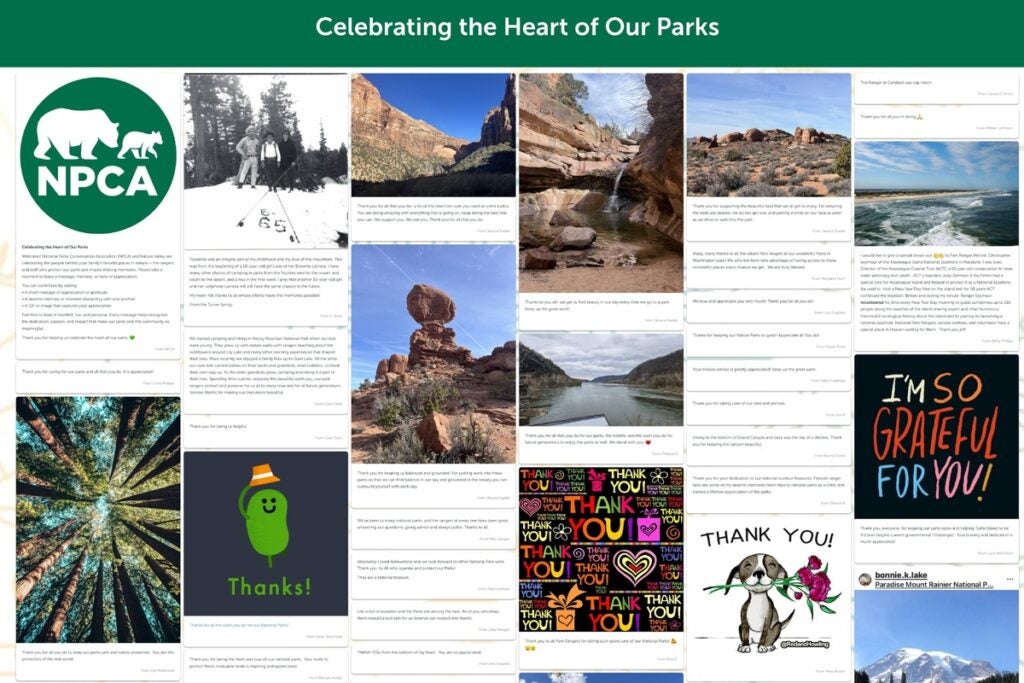 Celebrating the Heart of our Parks