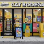 The exterior of Temptations cat treats cat bodega pop up in New York City