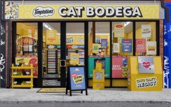 The exterior of Temptations cat treats cat bodega pop up in New York City