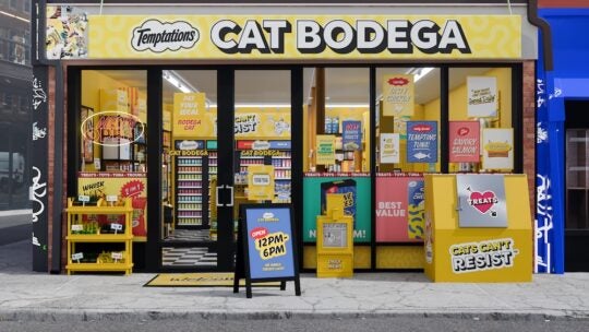 The exterior of Temptations cat treats cat bodega pop up in New York City